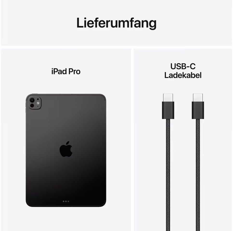 APPLE - iPad Pro M5 - 13" - Wi-Fi + Cellular - 256 Go - Verre standard - Space Black