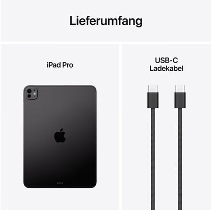 APPLE - iPad Pro M5 - 13" - Wi-Fi + Cellular - 256 Go - Verre standard - Space Black
