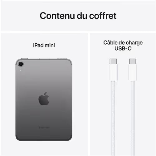 Apple - iPad Mini 8,3" 128Go 7éme Génération 2024 - Gris Sidéral