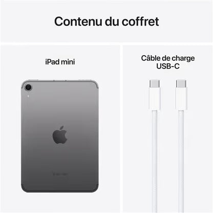 Apple - iPad Mini 8,3" 128Go 7éme Génération 2024 - Gris Sidéral