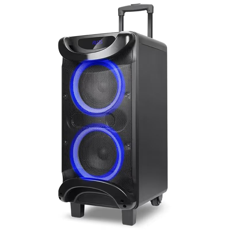 Enceinte Gold Sound GS L 0622 - Noir