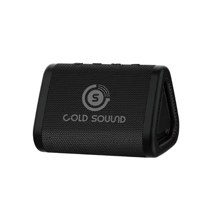 Enceinte Gold Sound GS 2240B - Noir