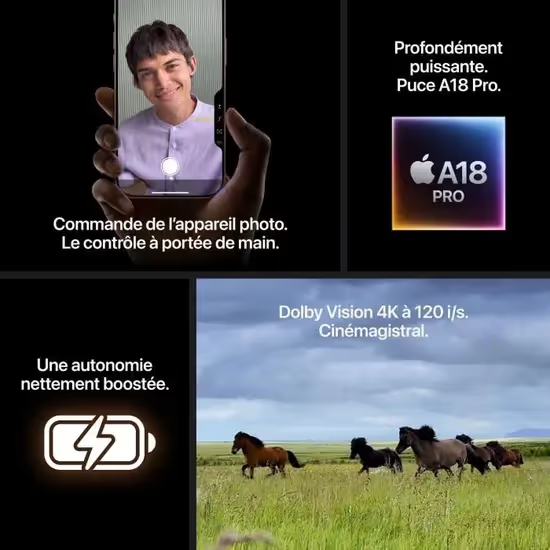 APPLE iPhone 16 Pro Max 512Go - Désert Titane