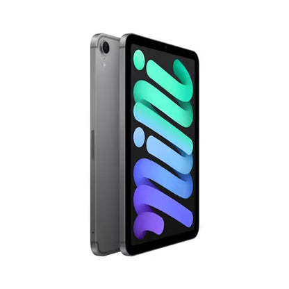 Apple - iPad Mini 8,3" 128Go 7éme Génération 2024 - Gris Sidéral