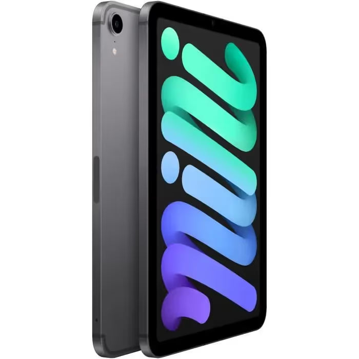 Apple - iPad mini (2021)  8,3" WiFi  64 Go - Gris Sidéral