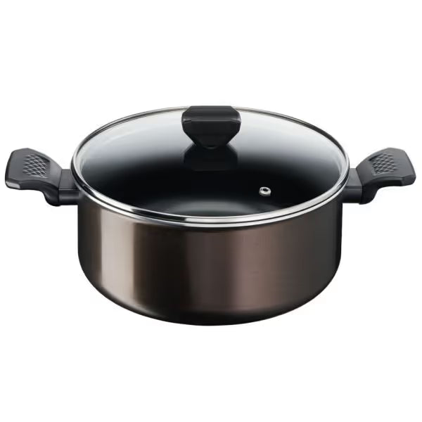 Faitout Tefal Easy Cook&Clean 24cm (B5544602)